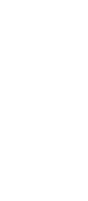 Pokal